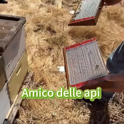 👨⚕️flysmus™ Cura Forte al veleno d'ape, Tratta verruche, escrescenze, infezioni e cicatrici, Leviga la pelle irregolare, Certificato dalla Società Italiana di Dermatologia (SIDeMaST) 🌟